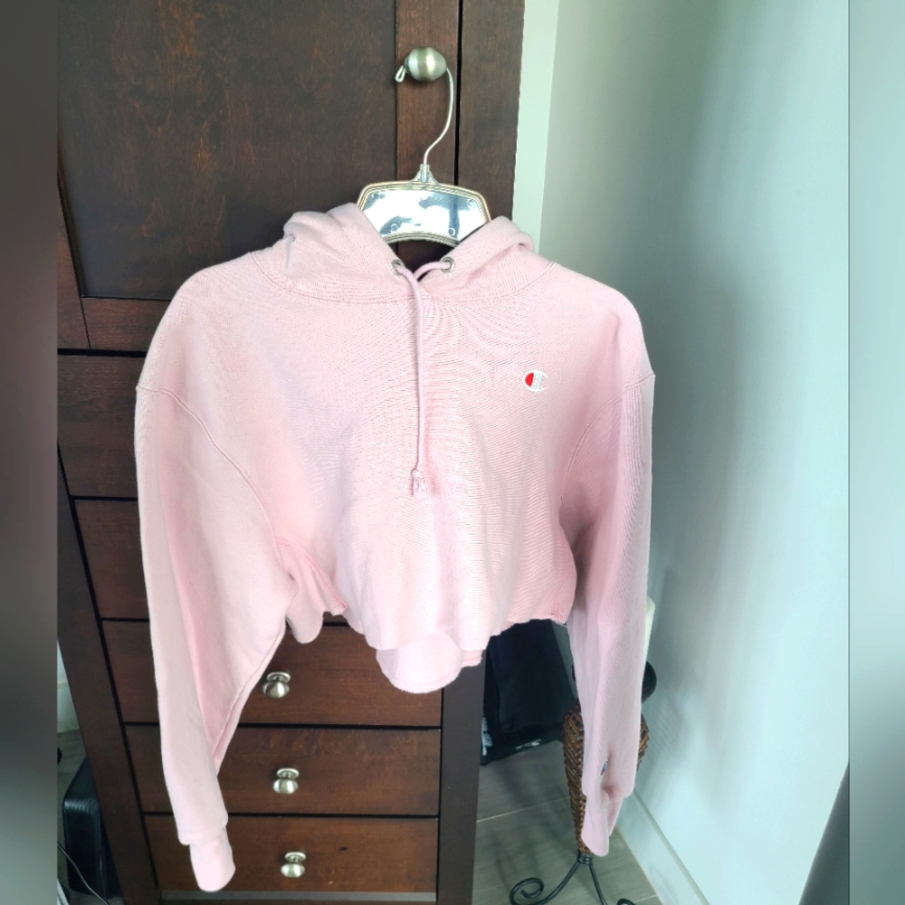 Champion cropped hoddie